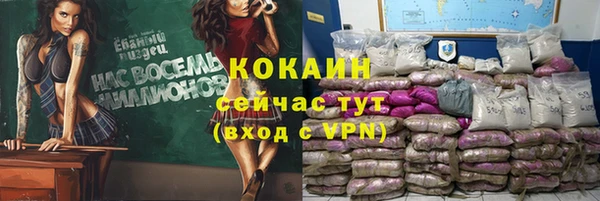 прущие грибы Вязьма