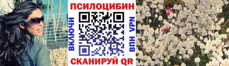 Псилоцибиновые грибы прущие грибы  Димитровград 